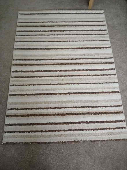 Photo of free Rug 120cm x 170cm (Wallisdown BH12) #1