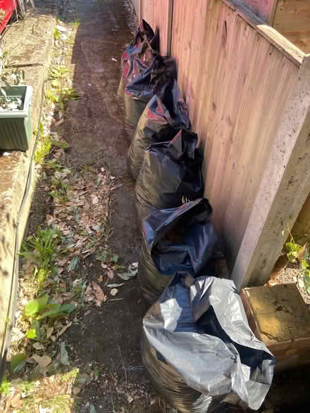 Photo of free 8 bags of topsoil (Strawberry Hill TW11) #2