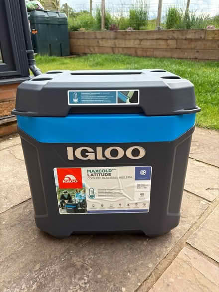 Photo of free 58L Igloo cool box (Skelton CA11) #1