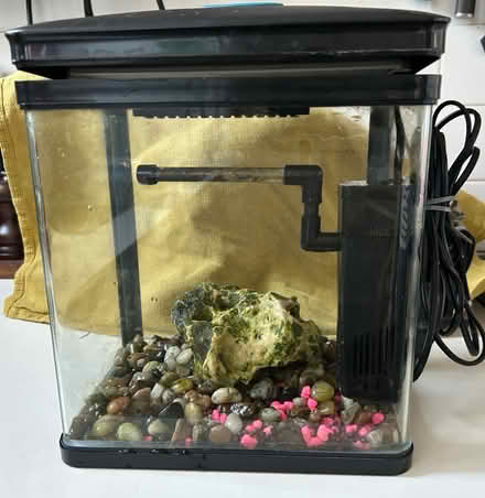 Photo of free Fish tank with LED and filter (Stepney Green E1) #1