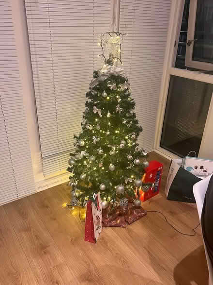 Photo of free Christmas tree (Tuffnel Park N19) #1