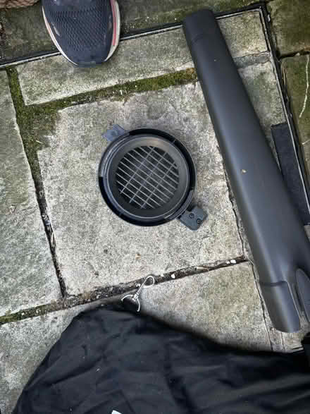 Photo of free Flymo leaf hoover (Richmond TW10) #4