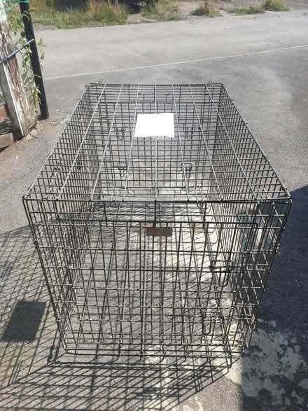Photo of free Large Metal Dog Case [No Tray] (3) (Trowbridge BA14) #2