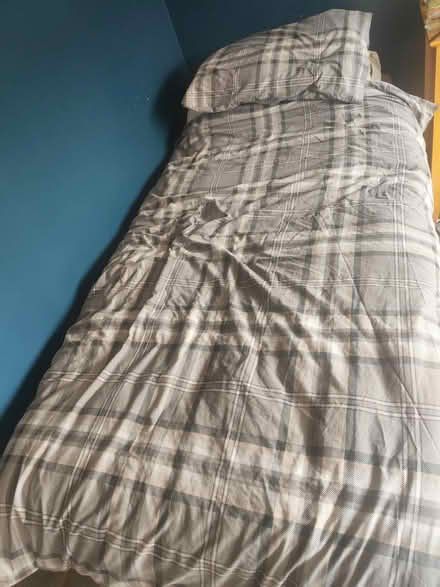 Photo of free Single trundle bed ( super king (Rathfarnham) #2