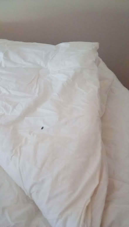 Photo of free John Lewis double duvet 4.5 tog (Lower Earley RG6) #3