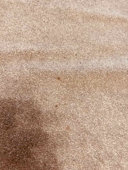 Photo of free Grey carpet (Garden City OX5) #2