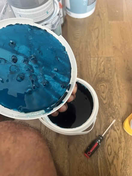 Photo of free 5ltr Full Paint Can (DA12) #1