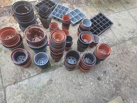Photo of free Plant Pots (Emsworth PO10) #1
