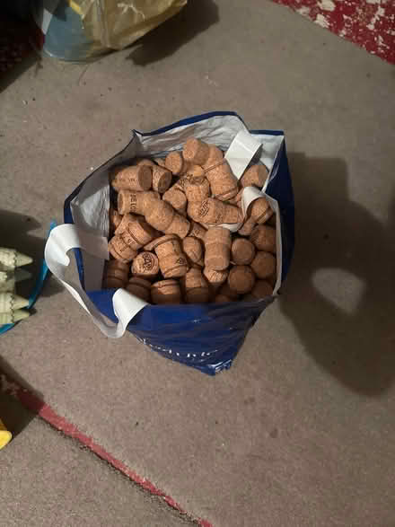 Photo of free Corks (Park Hill, Croydon, CR0) #1