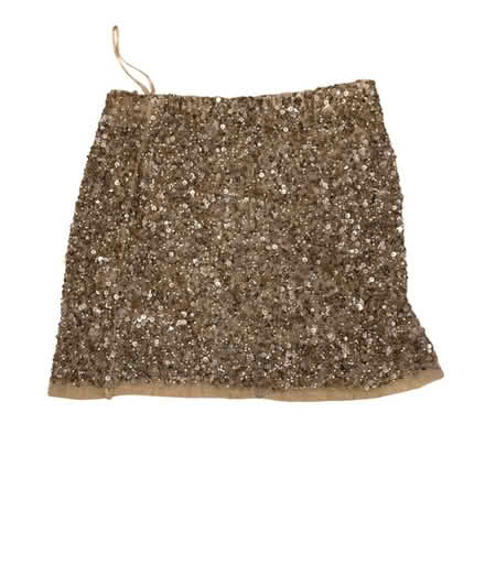 Photo of free Zara Woman’s Sequined Skirt (Brooklyn Storage) #1