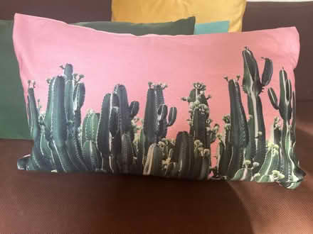 Photo of free Set of 4x decorative cushions (Brockley SE4) #2