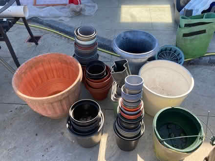 Photo of free Flower containers (Wickford) #2