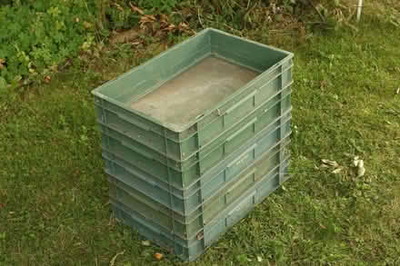 Photo of free Rigid plastic trays (Great Fransham NR19) #1