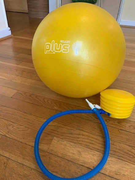 Photo of free Exercise ball plus pump (Silver Spring) #1