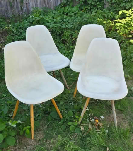 Photo of free Eames-style dining chairs (Twickenham TW1) #1