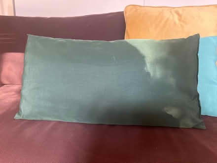 Photo of free Set of 4x decorative cushions (Brockley SE4) #3