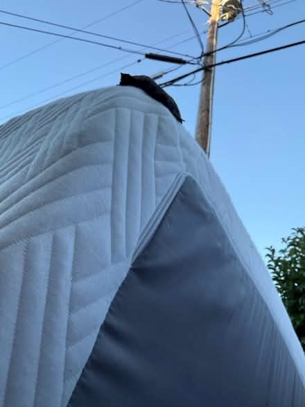 Photo of free Two King-size mattresses (Valencia Avenue, Sunnyvale) #4