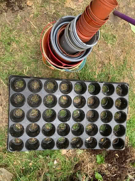 Photo of free Plant pots (Middleton LS10) #1