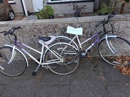 Photo of free Girls/ ladies bikes (Hardlands ave LA4) #1