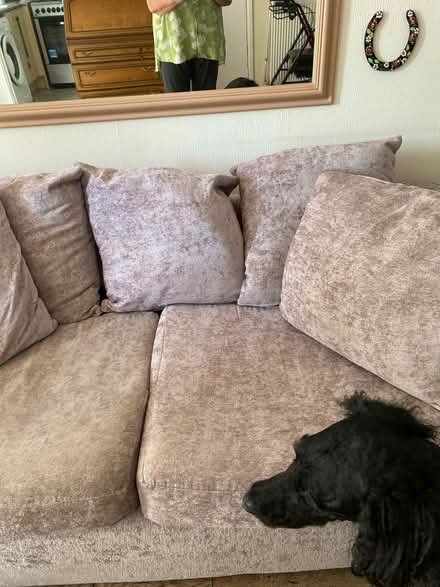 Photo of free 3 seater sofa for sale (Sturdee Road LE2) #2