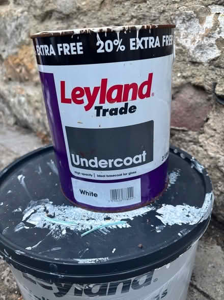 Photo of free Paint for interior decorating (Whashton Green DL11) #3