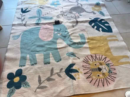 Photo of free Kids /children’s rug (South Norwood, SE25) #1