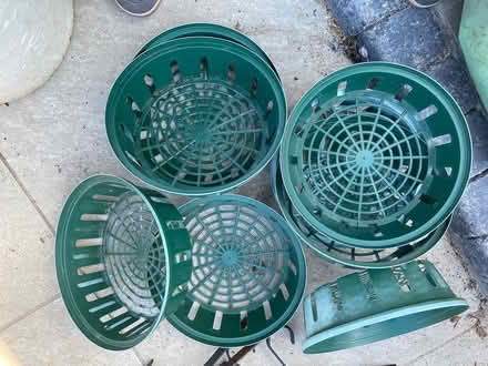 Photo of free Bulb planters (Wickford) #2