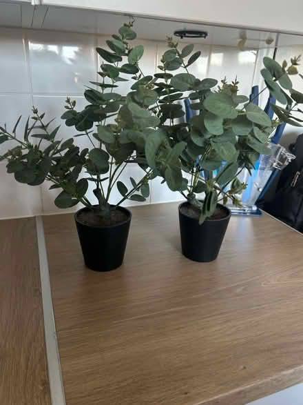 Photo of free Fake Plants (CT14) #2