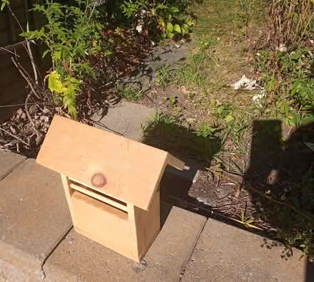 Photo of free Wooden Bird House (Alta Vista- Riverview Park) #1