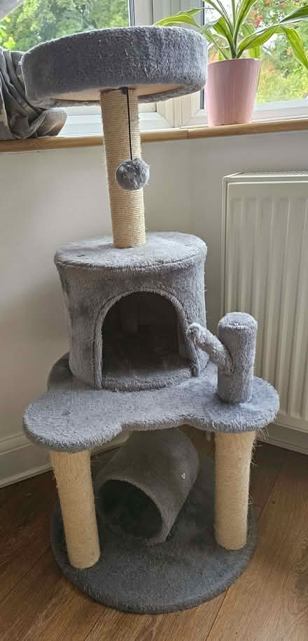Photo of free Cat tower (IP3) #1