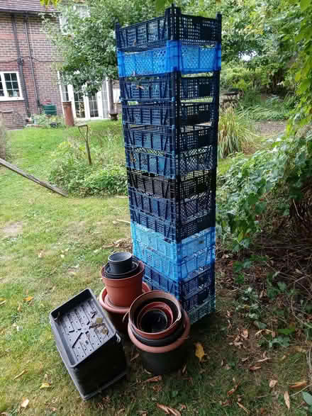 Photo of free Flower pots and trays (Whitemans Green RH17) #1