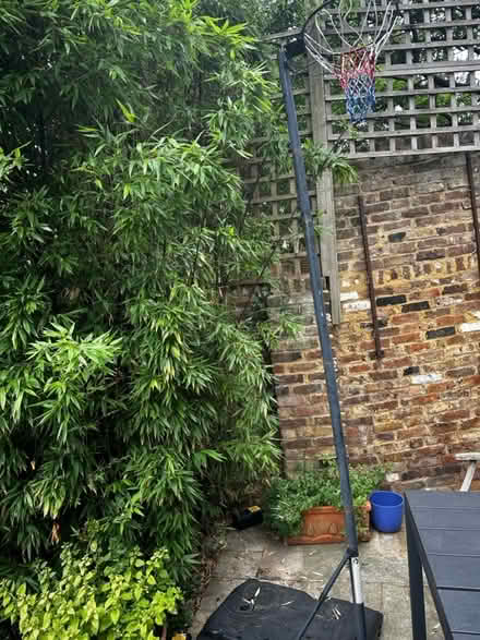 Photo of free Netball post (Richmond TW10) #1