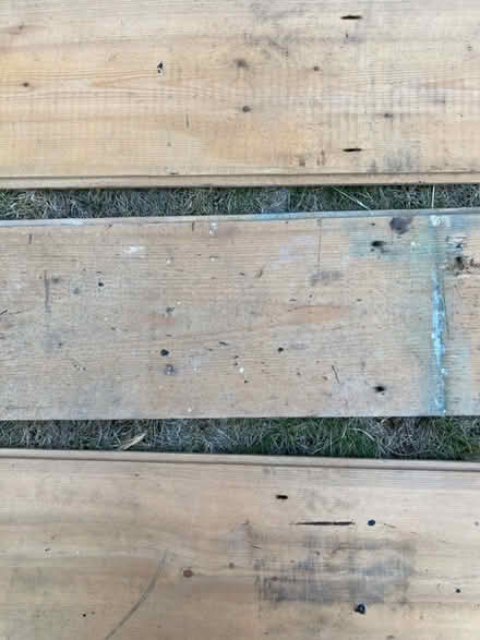 Photo of free Six old planks (Westbury on Trym BS9) #3