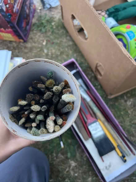 Photo of free Paintbrushes (Stanway, CO3) #1