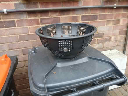 Photo of free Hanging baskets (LU1. Caddington) #1