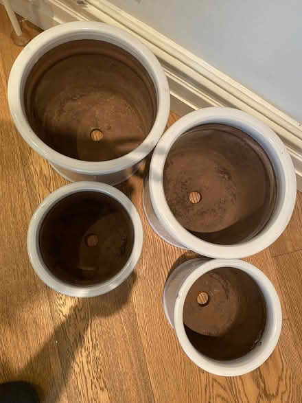 Photo of free Planters (Barnes, Hammersmith Bridge) #2