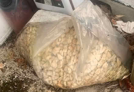 Photo of free Decorative chippings (Westcliff-on-Sea (SS0)) #2