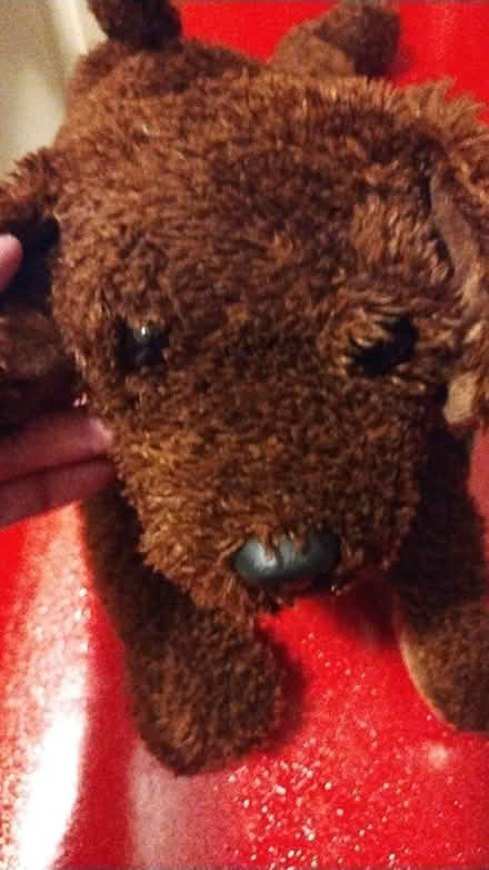 Photo of free stuffed brown dog #2 (Allen) #1