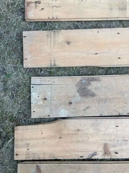 Photo of free Six old planks (Westbury on Trym BS9) #4