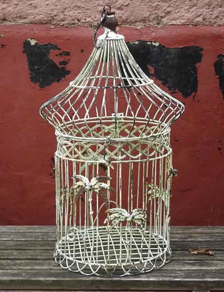 Photo of free Decorative bird cage (Great Fransham NR19) #2