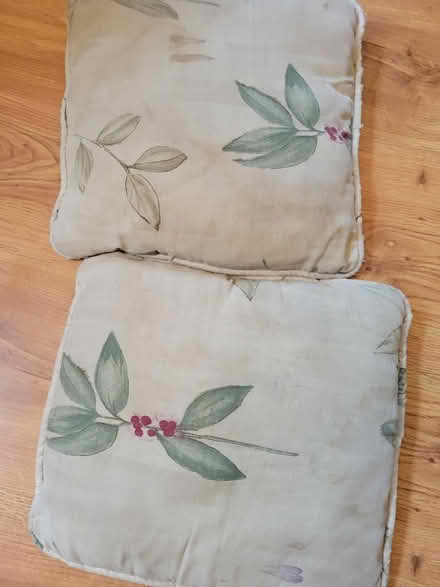 Photo of free Used couch cushions (Graham Park Plaza) #1