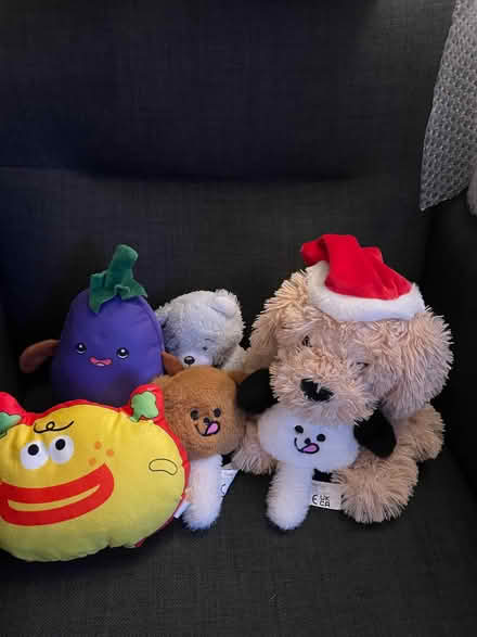 Photo of free Teddy bundle (Thringstone LE67) #1