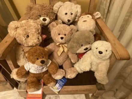 Photo of Teddies (Kendal LA9) #1