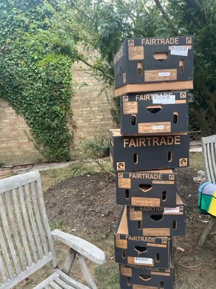 Photo of free Banana boxes (Stanway, CO3) #1
