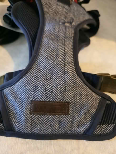 Photo of free Dog/puppy harness (BN10) #3