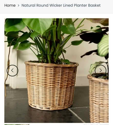 Photo of Large Wicker planter (Windermere LA23) #1