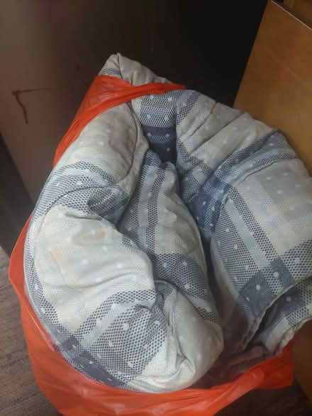Photo of free Queen size quilt (blk 2026 bukit batok street 23) #1