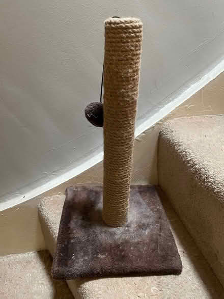 Photo of free Cat scratch post and toy (Mitcham CR4) #2