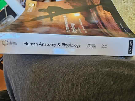 Photo of free A and P textbook (Roxbury) #2