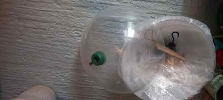 Photo of free Squirrel deterrent for bird feeder (Bexhill) #2